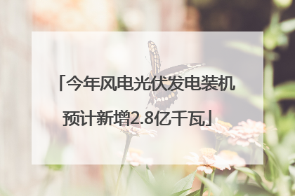 今年风电光伏发电装机预计新增2.8亿千瓦