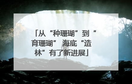 从“种珊瑚”到“育珊瑚” 海底“造林”有了新进展