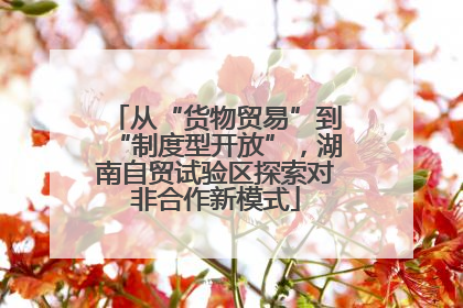 从“货物贸易”到“制度型开放”，湖南自贸试验区探索对非合作新模式