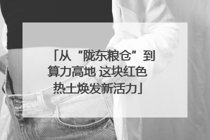 从“陇东粮仓”到算力高地 这块红色热土焕发新活力