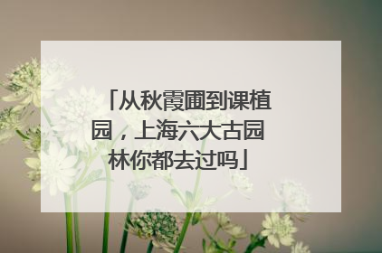从秋霞圃到课植园，上海六大古园林你都去过吗