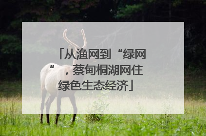 从渔网到“绿网”，蔡甸桐湖网住绿色生态经济