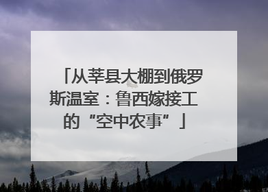 从莘县大棚到俄罗斯温室：鲁西嫁接工的“空中农事”