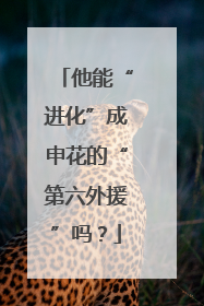 他能“进化”成申花的“第六外援”吗？