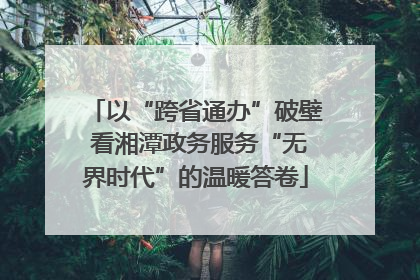 以“跨省通办”破壁 看湘潭政务服务“无界时代”的温暖答卷