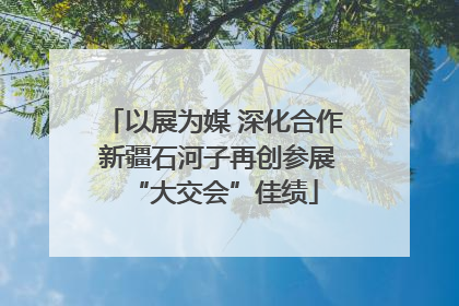 以展为媒 深化合作 新疆石河子再创参展“大交会”佳绩