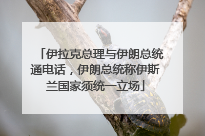 伊拉克总理与伊朗总统通电话，伊朗总统称伊斯兰国家须统一立场