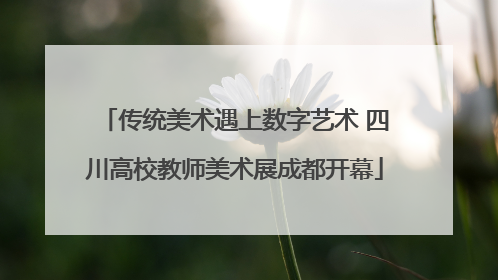 传统美术遇上数字艺术 四川高校教师美术展成都开幕