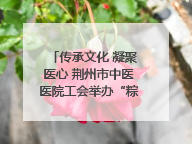传承文化 凝聚医心 荆州市中医医院工会举办“粽香传情·诗韵端午”系列活动