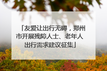 友爱让出行无碍，郑州市开展残障人士、老年人出行需求建议征集