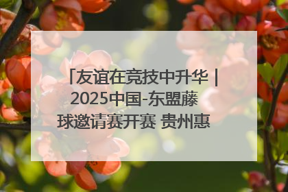 友谊在竞技中升华｜2025中国-东盟藤球邀请赛开赛 贵州惠水燃动“空中芭蕾”