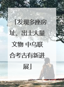 发现多座房址、出土大量文物 中乌联合考古有新进展