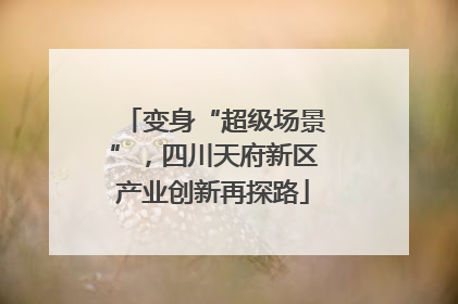 变身“超级场景”，四川天府新区产业创新再探路