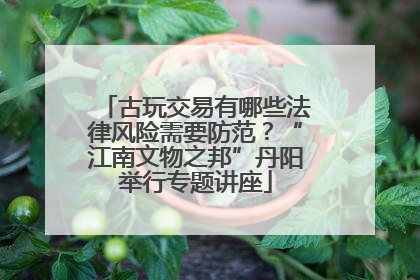 古玩交易有哪些法律风险需要防范？“江南文物之邦”丹阳举行专题讲座