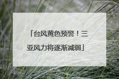 台风黄色预警！三亚风力将逐渐减弱