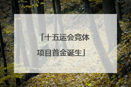 十五运会竞体项目首金诞生