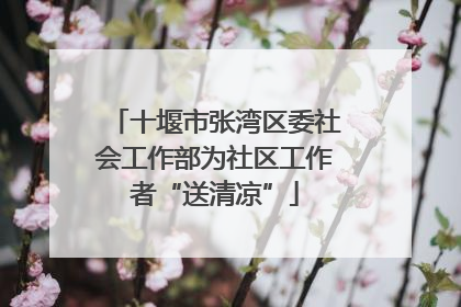 十堰市张湾区委社会工作部为社区工作者“送清凉”