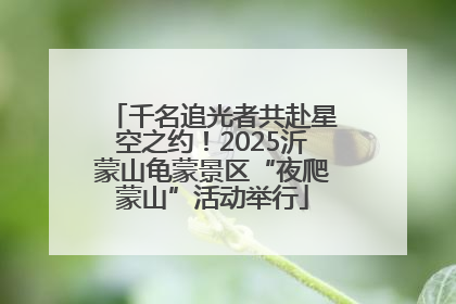千名追光者共赴星空之约！2025沂蒙山龟蒙景区“夜爬蒙山”活动举行