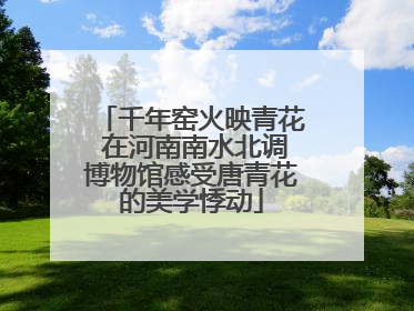 千年窑火映青花 在河南南水北调博物馆感受唐青花的美学悸动