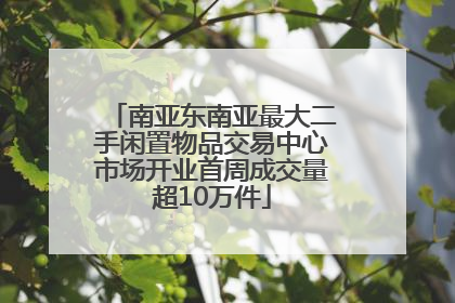 南亚东南亚最大二手闲置物品交易中心市场开业首周成交量超10万件