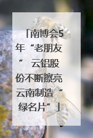 南博会5年“老朋友” 云铝股份不断擦亮云南制造“绿名片”
