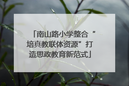 南山路小学整合“培真教联体资源”打造思政教育新范式