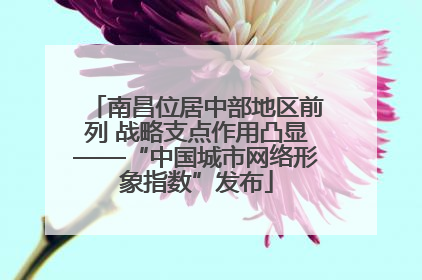 南昌位居中部地区前列 战略支点作用凸显——“中国城市网络形象指数”发布