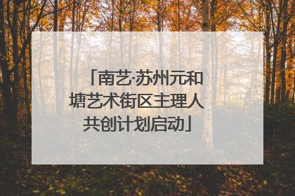 南艺·苏州元和塘艺术街区主理人共创计划启动