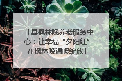 县枫林晚养老服务中心：让幸福“夕阳红”在枫林晚温暖绽放
