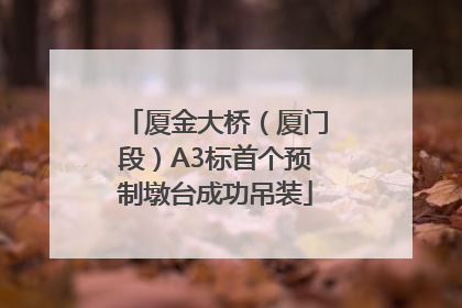 厦金大桥(厦门段)A3标首个预制墩台成功吊装