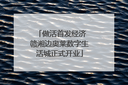 做活首发经济 赣湘边奥莱数字生活城正式开业