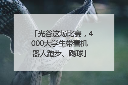 光谷这场比赛，4000大学生带着机器人跑步、踢球