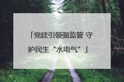 党建引领强监管 守护民生“水电气”