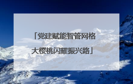 党建赋能智管网格 大樱桃闪耀振兴路