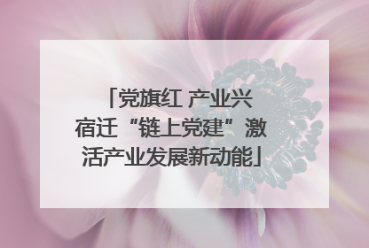 党旗红 产业兴 宿迁“链上党建”激活产业发展新动能
