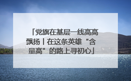 党旗在基层一线高高飘扬丨在这条英雄“含量高”的路上寻初心