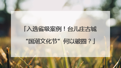 入选省级案例！台儿庄古城“国潮文化节”何以破圈？