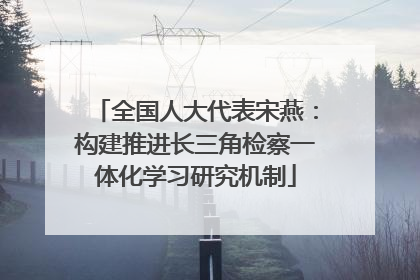 全国人大代表宋燕：构建推进长三角检察一体化学习研究机制