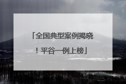 全国典型案例揭晓！平谷一例上榜