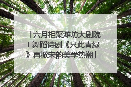 六月相聚潍坊大剧院！舞蹈诗剧《只此青绿》再掀宋韵美学热潮