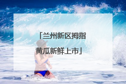 兰州新区拇指黄瓜新鲜上市