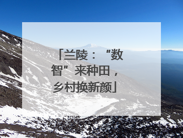 兰陵：“数智”来种田，乡村换新颜