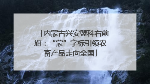 内蒙古兴安盟科右前旗：“蒙”字标引领农畜产品走向全国