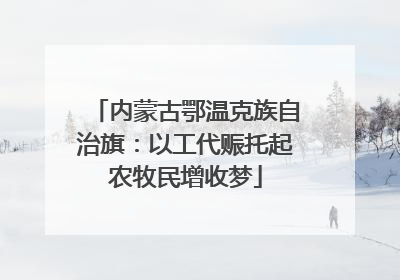 内蒙古鄂温克族自治旗：以工代赈托起农牧民增收梦