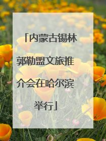 内蒙古锡林郭勒盟文旅推介会在哈尔滨举行