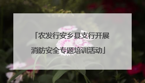 农发行安乡县支行开展消防安全专题培训活动