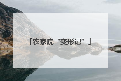 农家院“变形记”