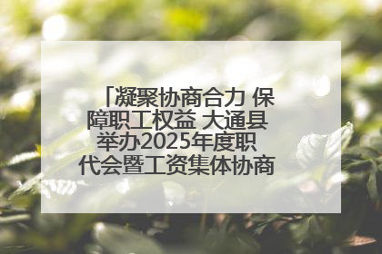 凝聚协商合力 保障职工权益 大通县举办2025年度职代会暨工资集体协商现场观摩交流活动