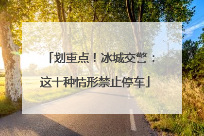 划重点！冰城交警：这十种情形禁止停车