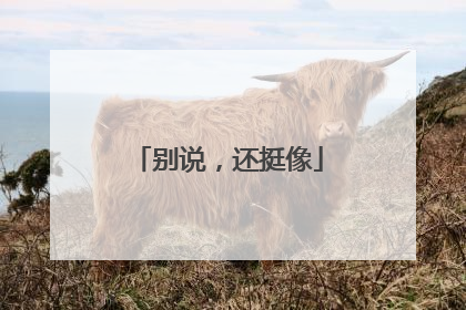 别说，还挺像